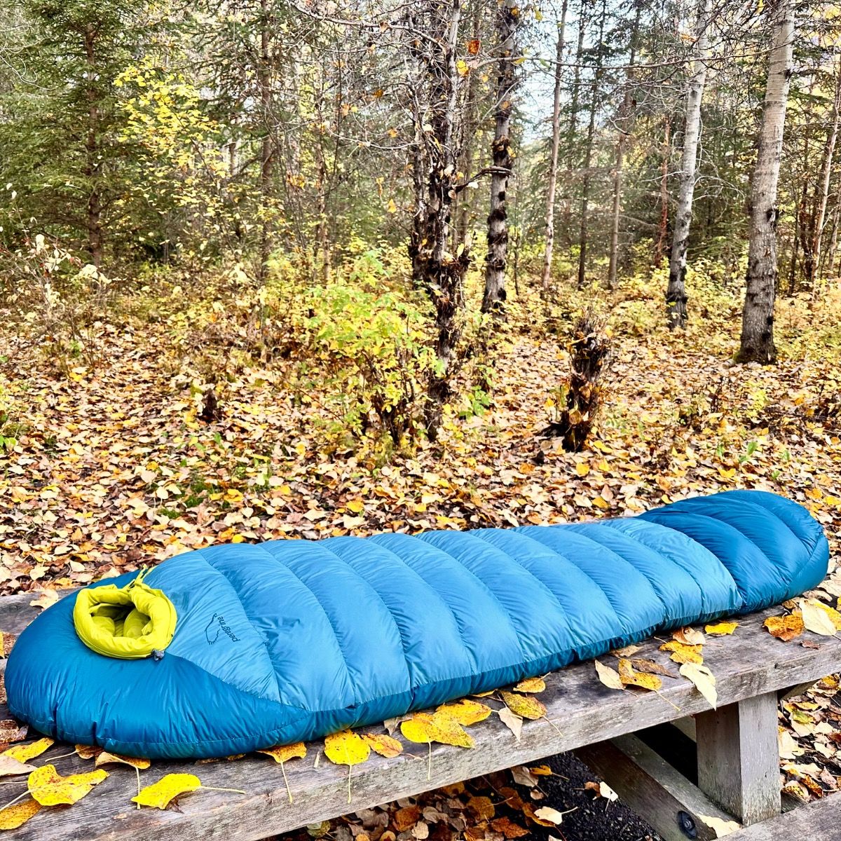 Peregrine Anatum 0°F Down Sleeping Bag - Lightweight for Backpacking